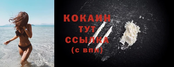 молекула духа Касимов