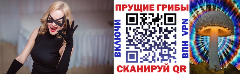 Галлюциногенные грибы мицелий  Краснозаводск 